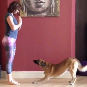 Dog Yoga in West LA!