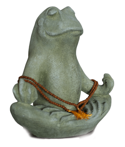 Laughing Frog Yoga